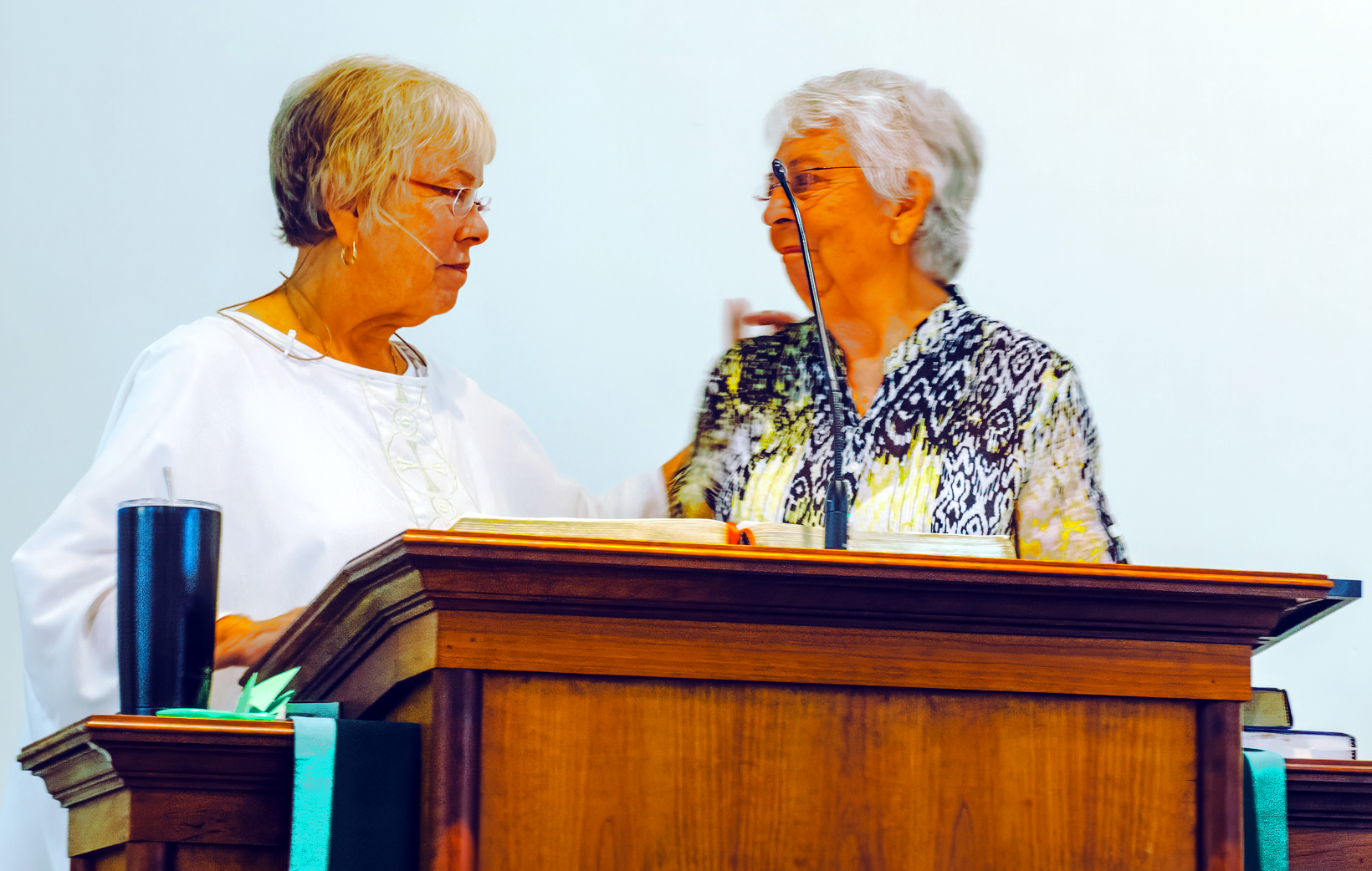 view of the garden dedication